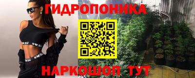крисы Ипатово