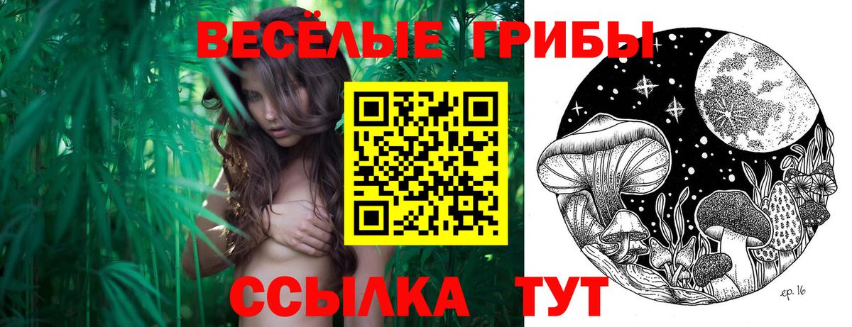 Галлюциногенные грибы мухоморы  Галлюциногенные грибы Psilocybine cubensis  Находка  как найти закладки  Вход с VPN 