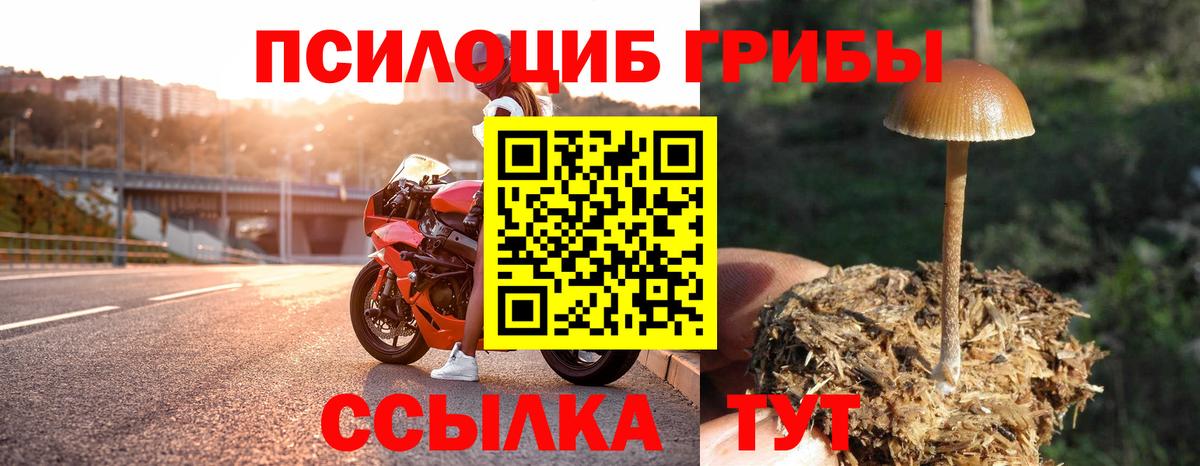 Псилоцибиновые грибы MAGIC MUSHROOMS Находка